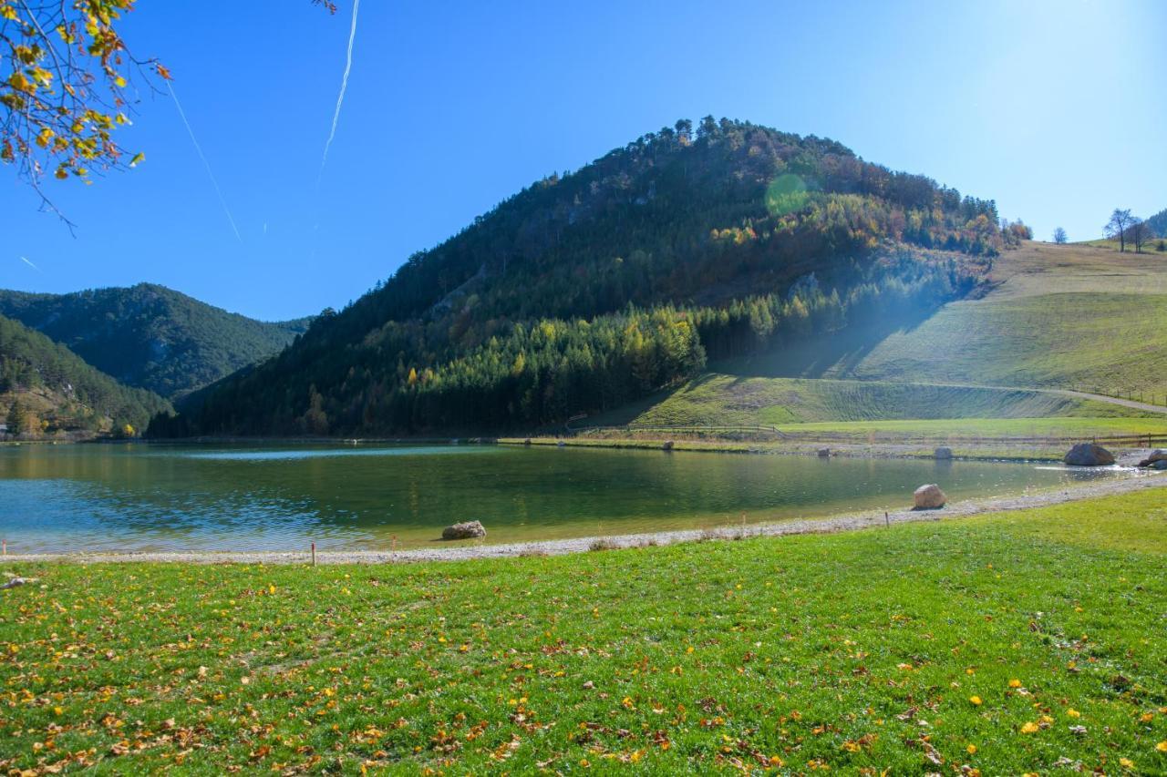 Chalet Am Schneeberg See Puchberg am Schneeberg Exteriér fotografie